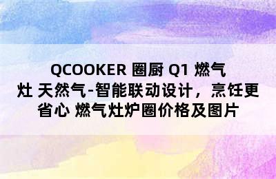 QCOOKER 圈厨 Q1 燃气灶 天然气-智能联动设计，烹饪更省心 燃气灶炉圈价格及图片